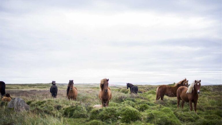 How Does The 99Exch Spin And Win Reward System Work?